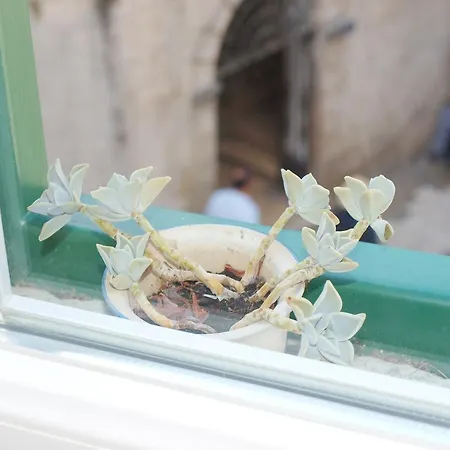 Mv Apartament Split